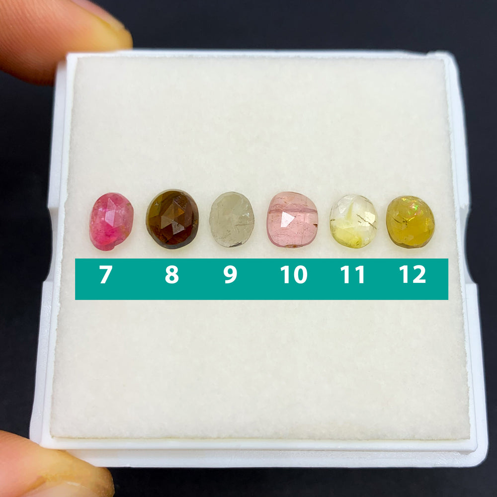 
                  
                    Turmalinas Corte Rosa 6 mm
                  
                