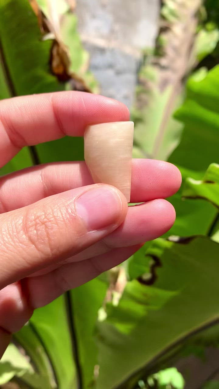 
                  
                    Cargar y reproducir el video en el visor de la galería, Cuerno de Amazonita Beige 27x18 mm
                  
                