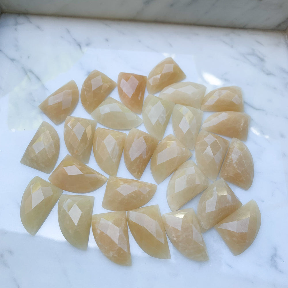 
                  
                    Cuerno de Amazonita Beige 27x18 mm
                  
                
